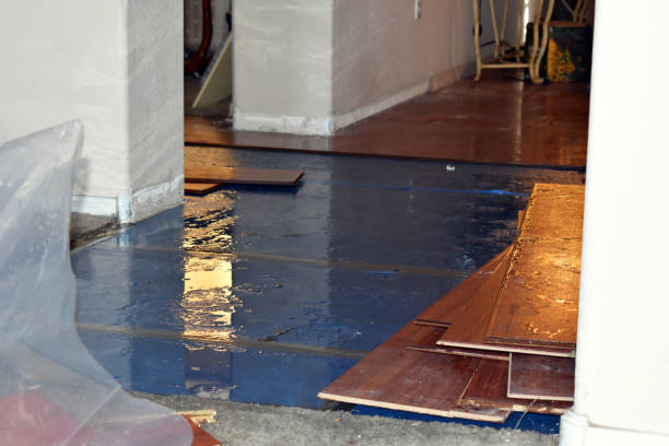Professional Burst Pipe Cleanup technician working in Nallen, WV